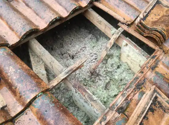 Réparation de toiture à Sainte genevieve des bois 91700